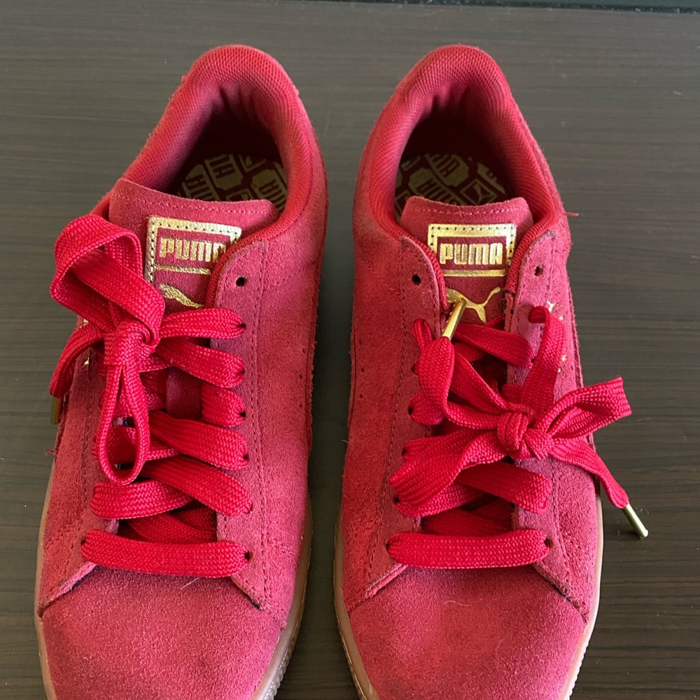 Red pumas